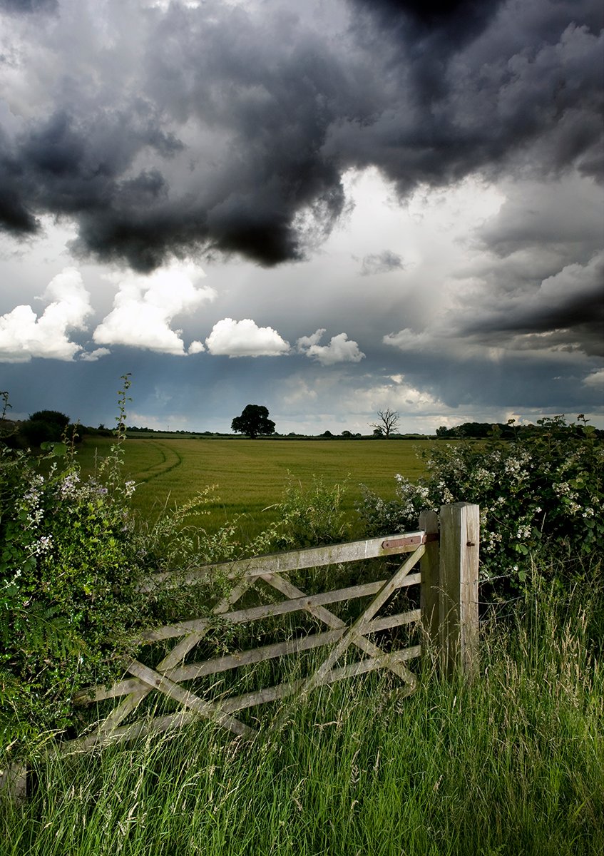 A wooden gate leading to a green field under a dramatic cloudy sky.