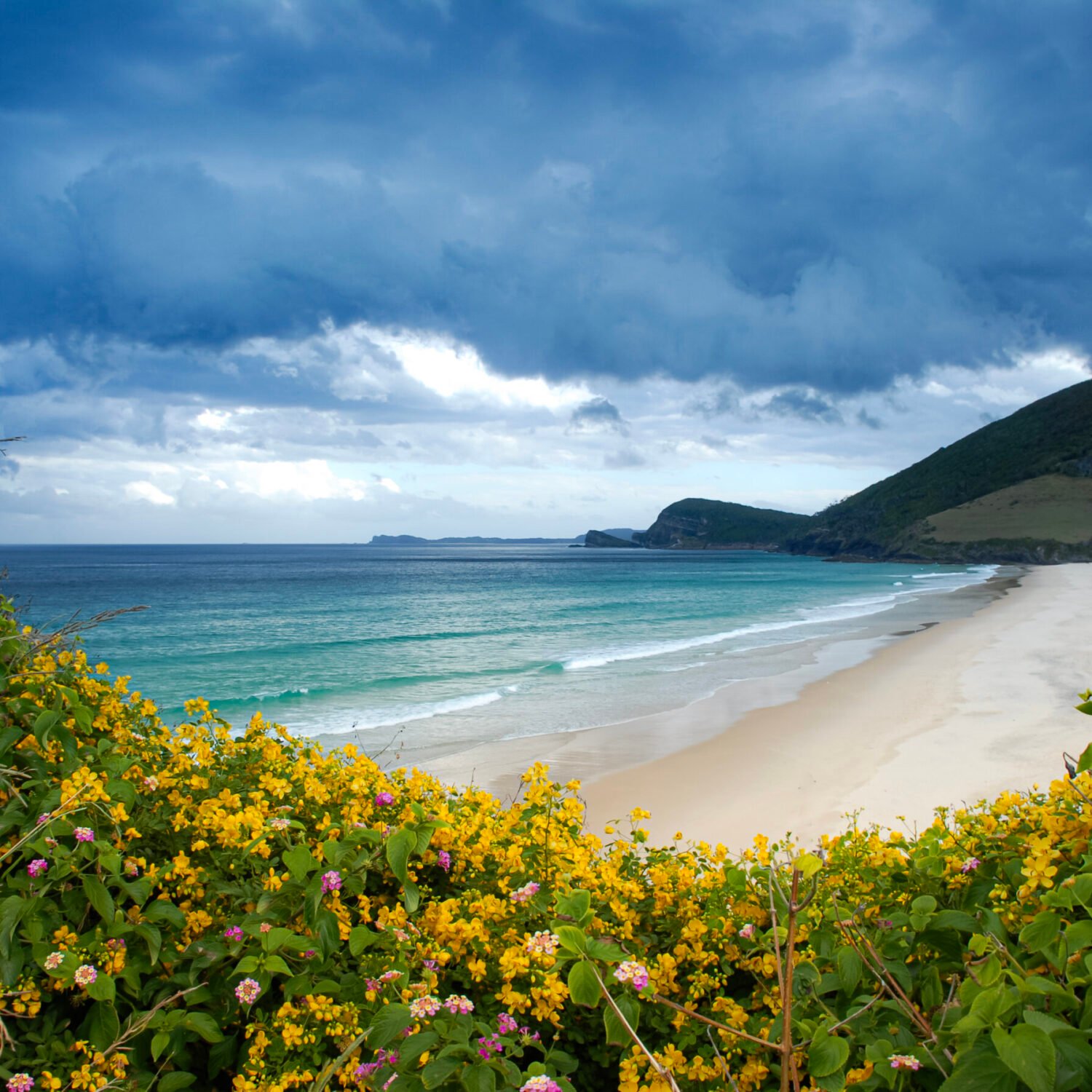 A picturesque beach with vibrant flora in the foreground under a looming overcast sky.