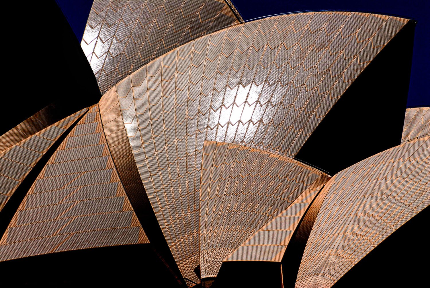 Close-up of the sydney opera house shells with intricate tile patterns against a blue sky.
