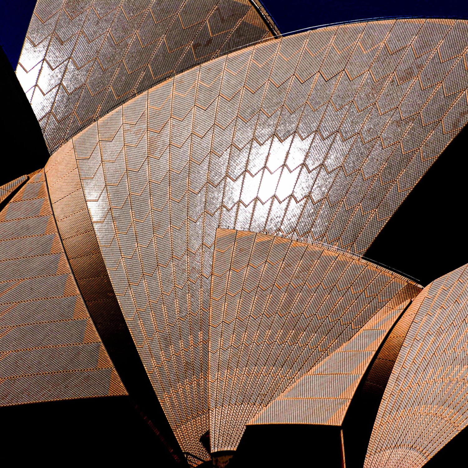 Close-up of the sydney opera house shells with intricate tile patterns against a blue sky.